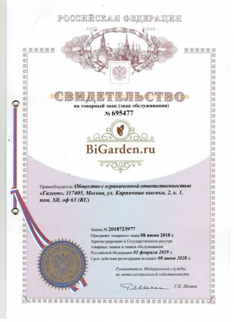 Двойное подвесное кресло "Gemini promo White BS", без стойки, Красная подушка