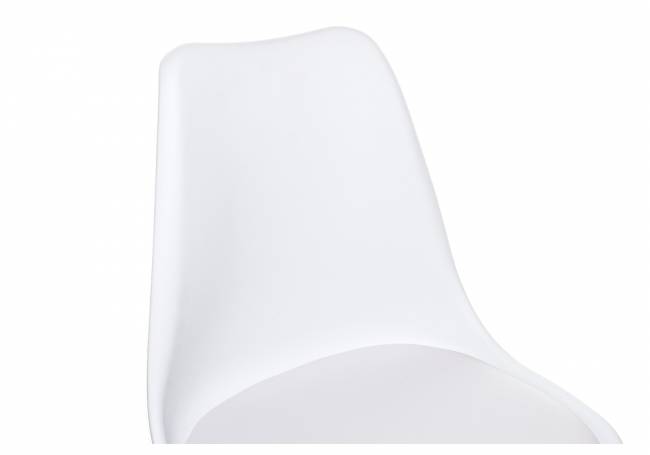 Tulip white